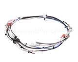 29072.0016 Bunn Wiring Harn,Main 120V 1L/2U