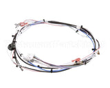 29072.0016 Bunn Wiring Harn,Main 120V 1L/2U