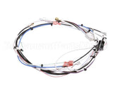 29072.0016 Bunn Wiring Harn,Main 120V 1L/2U