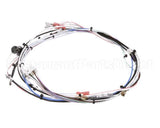 29072.0016 Bunn Wiring Harn,Main 120V 1L/2U
