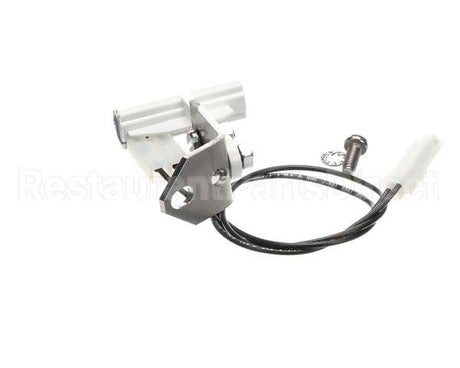 29914 Robot Coupe Hanginh Wedge Switch Assembly