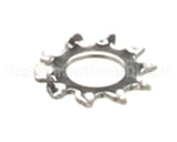 2C-1825 Star Washer #8 Ext Stl Np