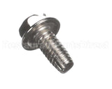 2C-8153100 Apw Wyott Self Tapping Screw
