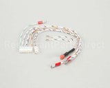 2E-141-701 Lang Harness, #1G - Gg