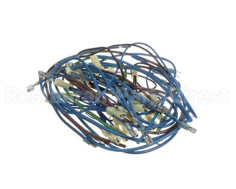 2E-21831976 Apw Wyott Wire Harness; Hrs-75;5T