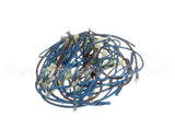 2E-21831976 Apw Wyott Wire Harness; Hrs-75;5T