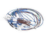 2E-21831976 Bakers Pride Wire Harness, Hrs-75, 5T