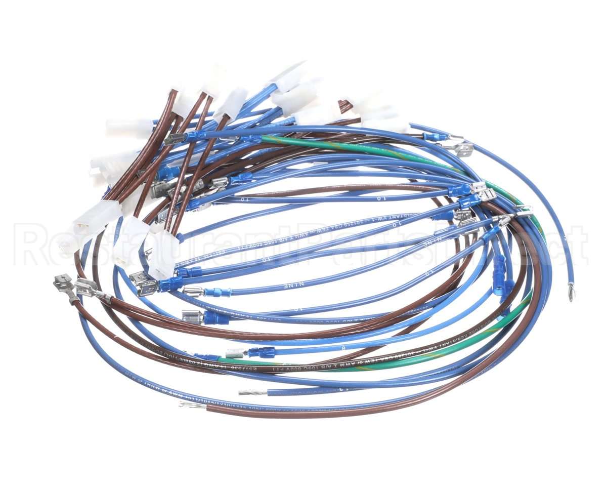 2E-21831976 Bakers Pride Wire Harness, Hrs-75, 5T