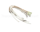 2E-307324 Wells Harness Heater Wire Set,M4200
