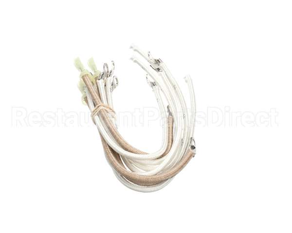2E-307324 Wells Harness Heater Wire Set,M4200