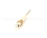 2E-41100-07 Lang Sensor Flame Probe Gcco