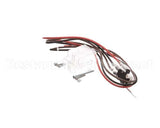 2E-47273 Wells Switch Kit Electric Cv Ho