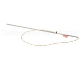 2E-60141101 Star Probe,Rtd 1K Din 13" Mkg