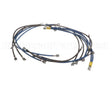 2E-93300085 Apw Wyott Wire Set; W/Wire Diagram Xttrm 2 & 3