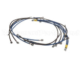 2E-93300085 Apw Wyott Wire Set; W/Wire Diagram Xttrm 2 & 3