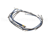 2E-93300085 Apw Wyott Wire Set; W/Wire Diagram Xttrm 2 & 3