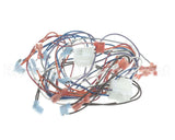 2E-B6780901 Magikitchn Wrg,Dual Control Pnl Mkge