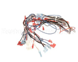 2E-B6810401 Magikitchn Wrg,Control Dual Lh Mkg 24V