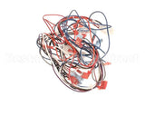 2E-B6810402 Magikitchn Wrg, Control Dual Rh Mkg 2