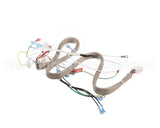 2E-B6810601 Magikitchn Wrg, Pwr Sply Bx/Ign Mkg 2