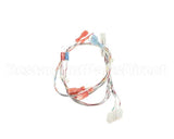 2E-EZG-712-1 Lang Harness,Selectronic
