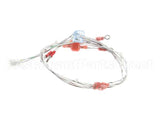 2E-EZG-713-2 Lang Harness,Burner Valve