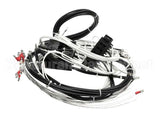 2E-XL-577 Lang Harness Element Slct 208/240V