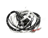 2E-XL-577 Lang Harness Element Slct 208/240V