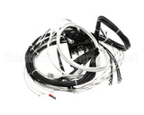 2E-XL-577 Lang Harness Element Slct 208/240V