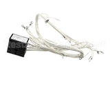 2E-XL-585-2 Lang Harness Lg36 Acu 220/380/480