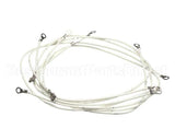 2E-Z19076 Star Wire Set-Elm To Pcb 120V