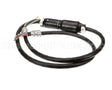 2E-Z19258 Star Cord Set 8/4 50 Amp Lock