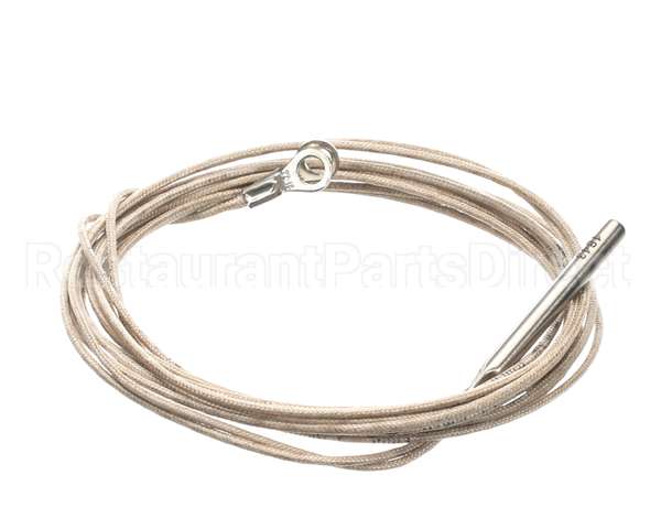 2E-Z20781 Lang Rtd Probe - 60 Long Wire