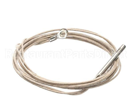 2E-Z20781 Lang Rtd Probe - 60 Long Wire