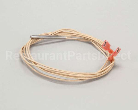 2E-Z3278 Star Rtd Probe - 48 Long Wire