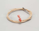 2E-Z3278 Star Rtd Probe - 48 Long Wire