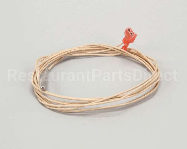 2E-Z3278 Star Rtd Probe - 48 Long Wire