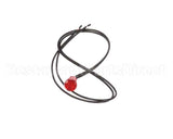 2J-200427 Star Light, Pilot Dualit Long