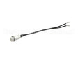 2J-31601-17 Lang Pilot Lt 250V 6Lead White
