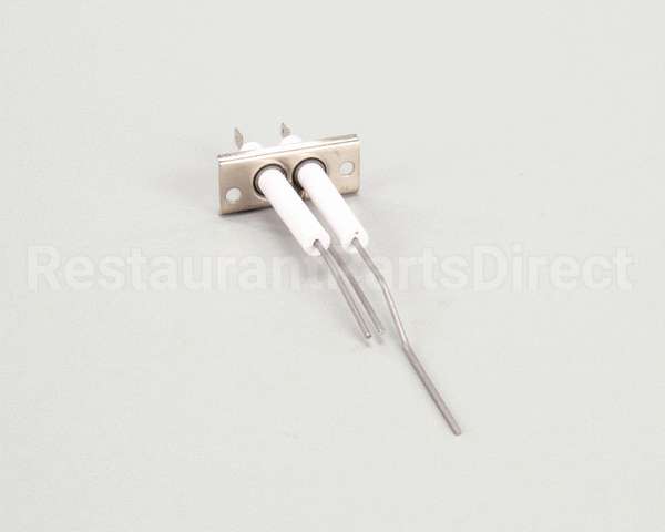 2J-80302-05 Lang Dsi Electrode Assembly