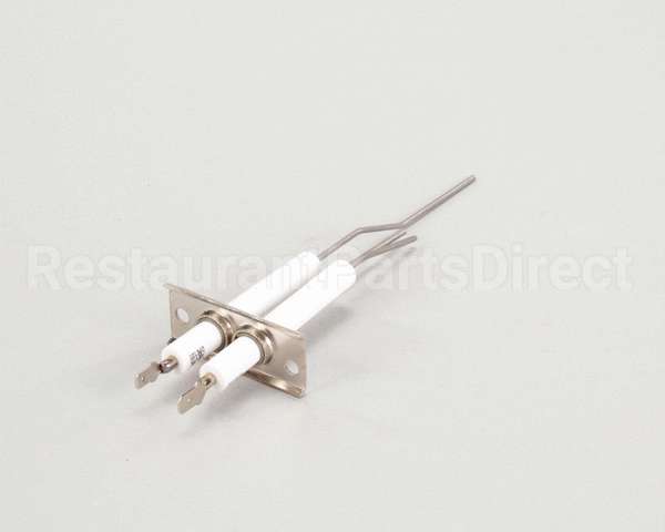 2J-80302-05 Lang Dsi Electrode Assembly