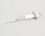 2J-80302-05 Lang Dsi Electrode Assembly