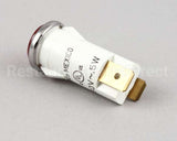 2J-Y6690 Star Pilot Light 240V