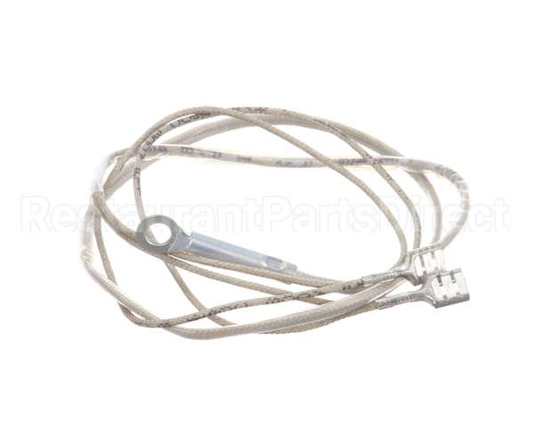 2J-Z16743 Wells Probe-Temp-Rtd-2K