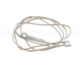 2J-Z16743 Wells Probe-Temp-Rtd-2K