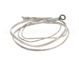 2J-Z16743 Wells Probe-Temp-Rtd-2K