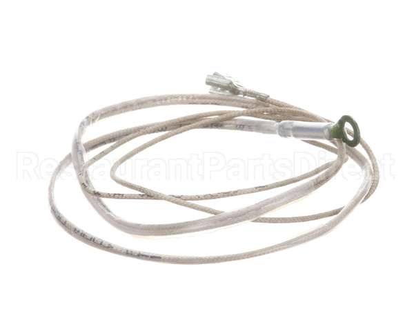 2J-Z16743 Wells Probe-Temp-Rtd-2K