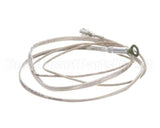 2J-Z16743 Wells Probe-Temp-Rtd-2K