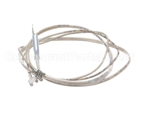 2J-Z16743 Wells Probe-Temp-Rtd-2K