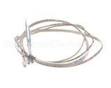 2J-Z16743 Wells Probe-Temp-Rtd-2K